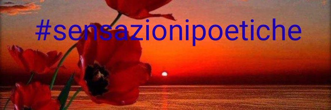 @SimonaMascaro64's banner