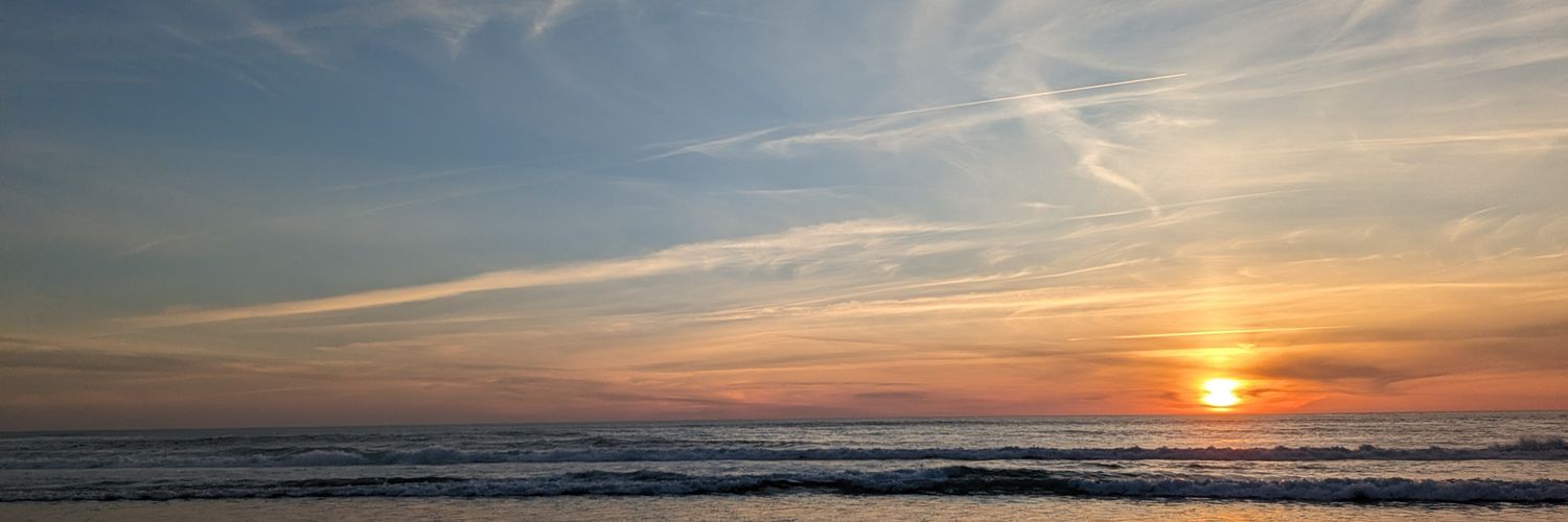 Wall Street tu vieja. banner