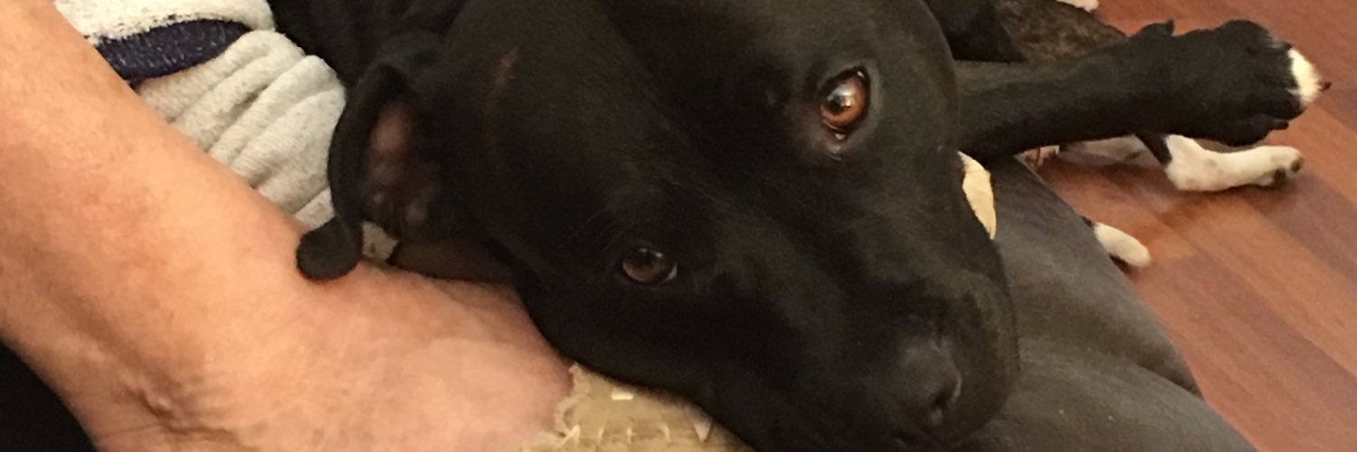 Bundygal1's profile banner image