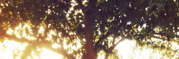 hapagayles Profile Banner