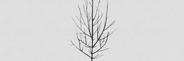 roikoch's profile banner image