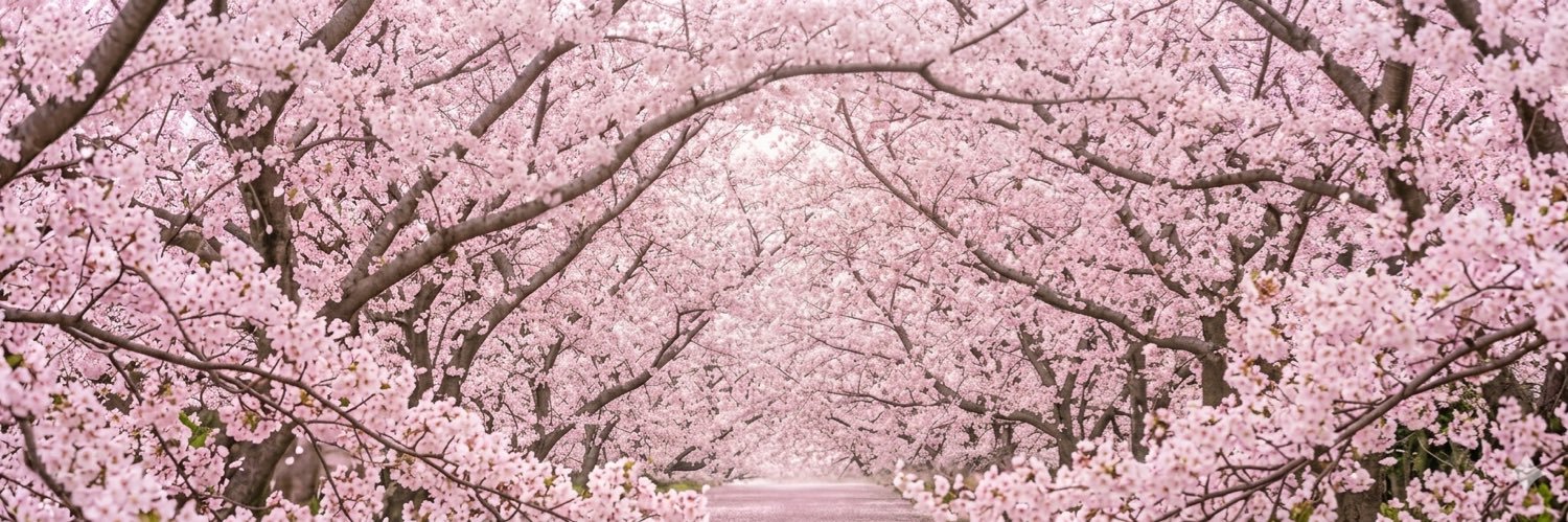 HANDSIGN SHINGO banner