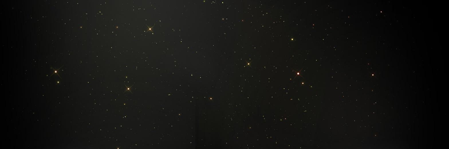 callaprm's profile banner image