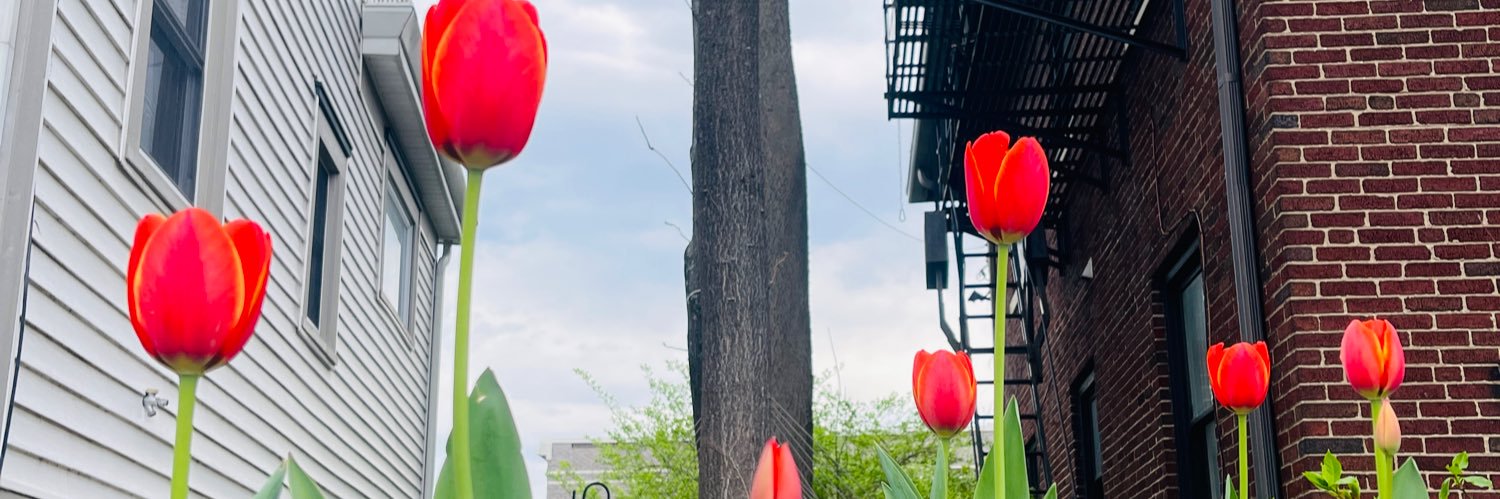 erikaahall's profile banner image