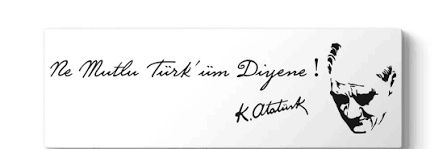 NE MUTLU TÜRKÜM DİYENE banner