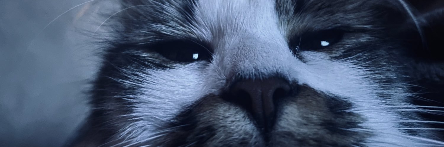 casey_mode's profile banner image
