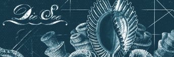 die see banner