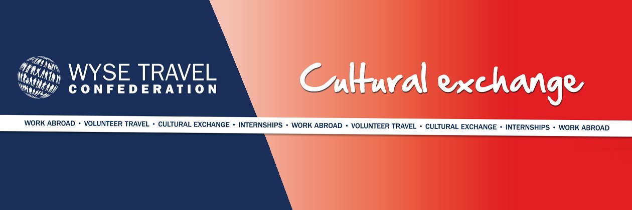 WYSEWorkAbroad's profile banner image