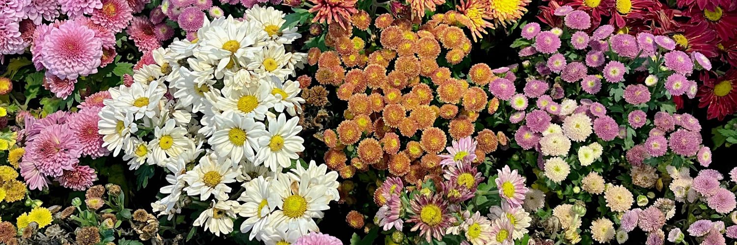 𝘪𝘴𝘤𝘩𝘢𝘳𝘦𝘦 banner