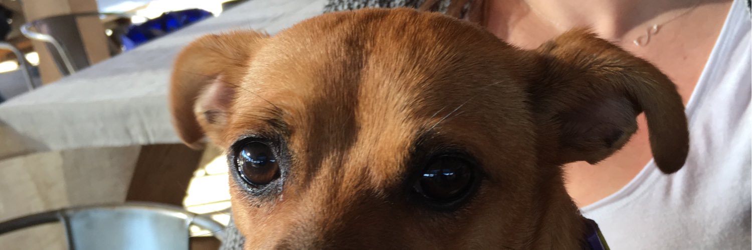 RandyBracewell's profile banner image