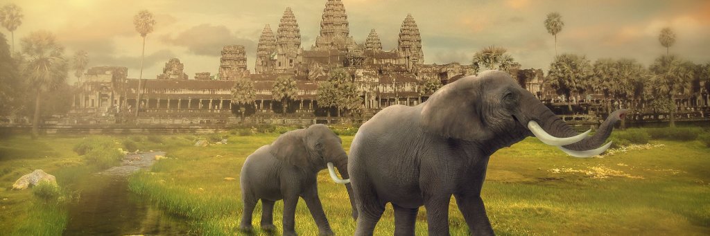 huonsokly5's profile banner image