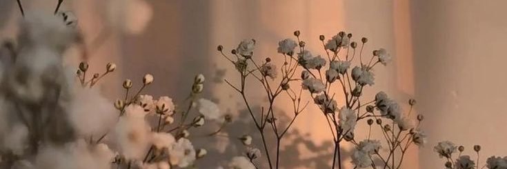 monniiicca_'s profile banner image