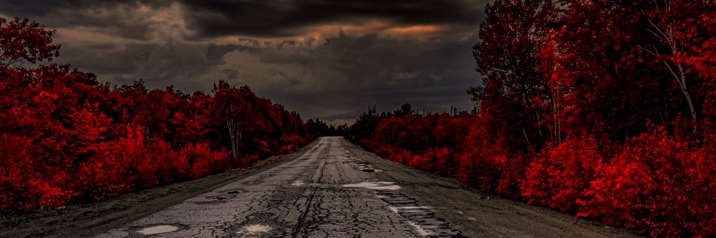 Mainer 🧂🇺🇸 banner