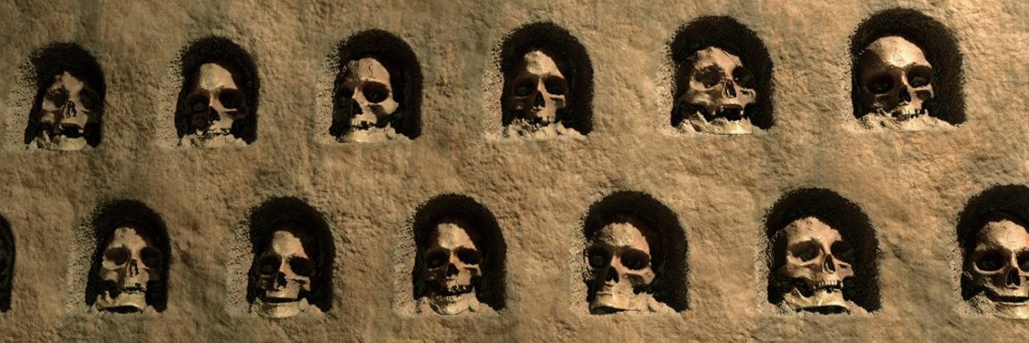 LOSTAMERICANARP's profile banner image