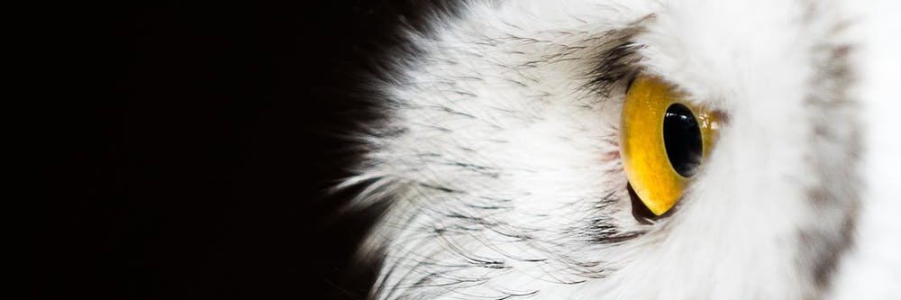 fasaao's profile banner image