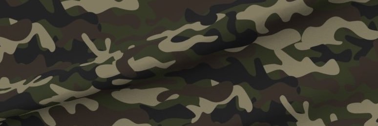 psterboy. banner