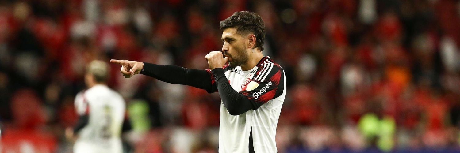 naumi renault floss banner