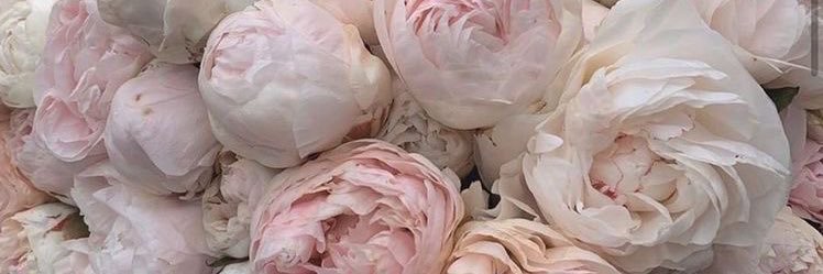 Danae's diary， ♥︎ banner