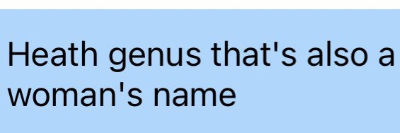 Erica Goldman banner