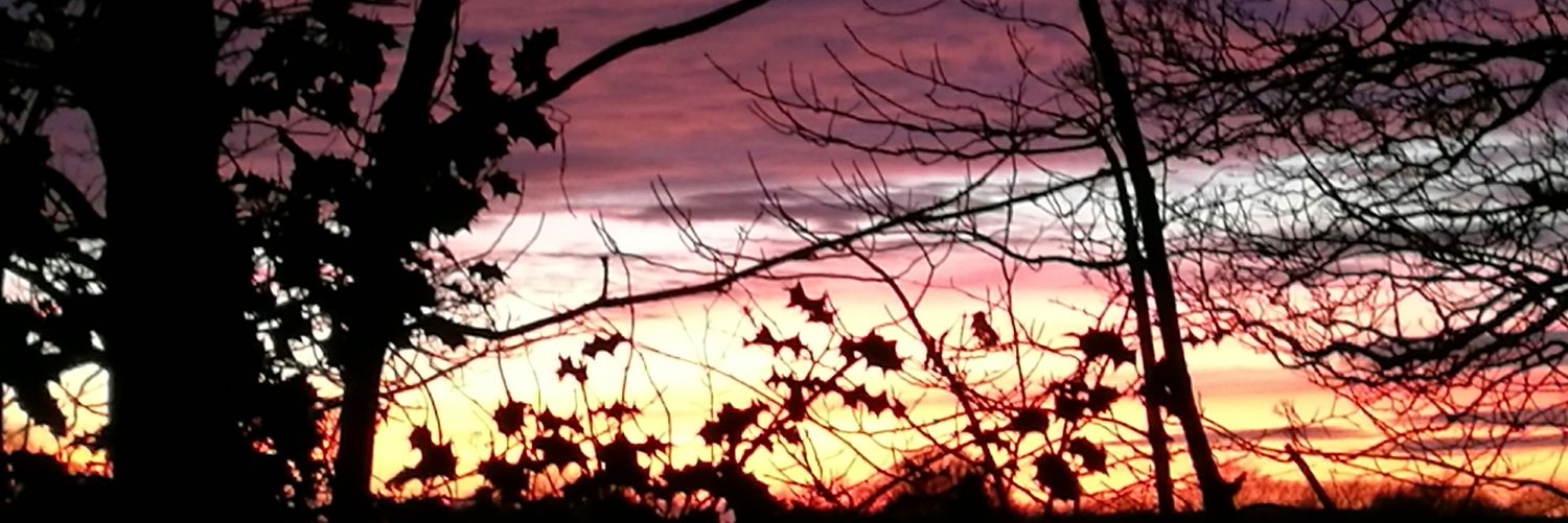 Reflectionsco's profile banner image