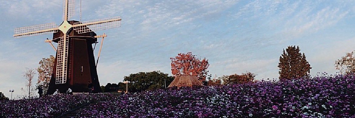 さにー🌻 banner