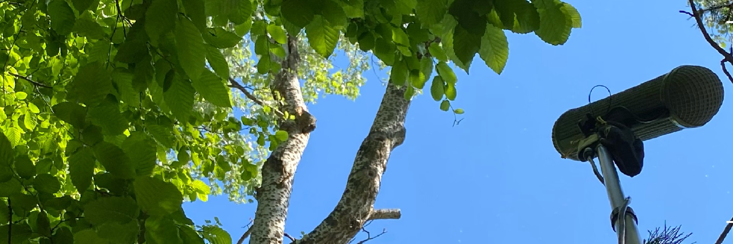 Eske Norholm 🔊🎤 banner