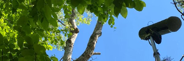 enorst Profile Banner