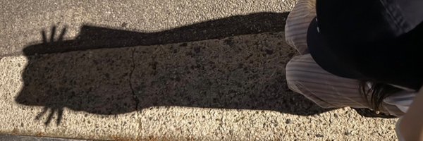 hwanhons Profile Banner