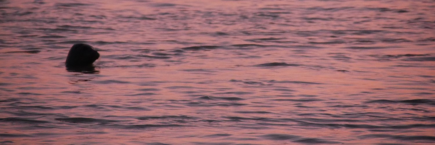 DewiLanglet's profile banner image