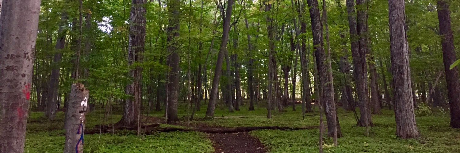 AnnaPrielipp's profile banner image