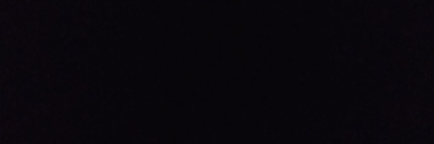 silviaanov's profile banner image