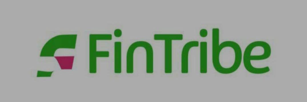TheFintribe's profile banner image