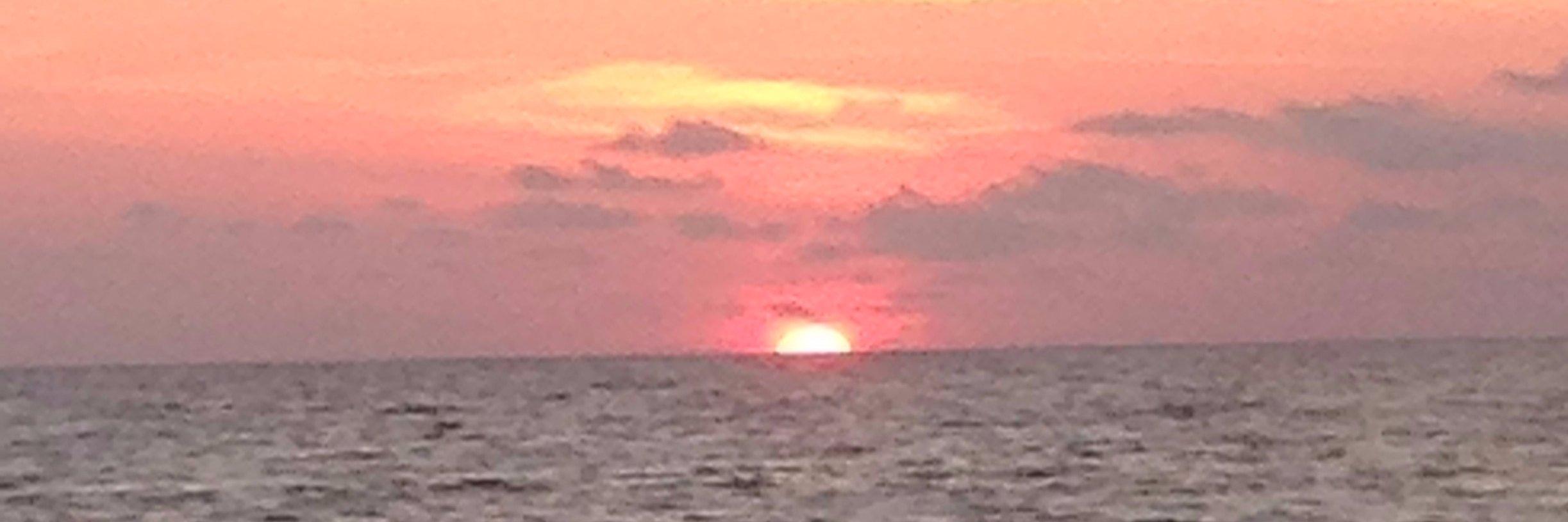 beachlife2001's profile banner image