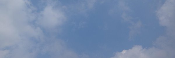 rd_mayangsari Profile Banner