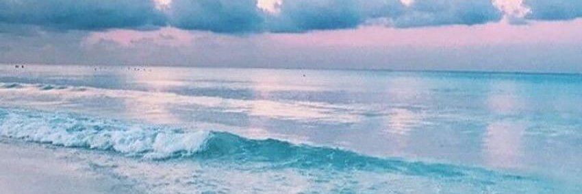 SCestita's profile banner image