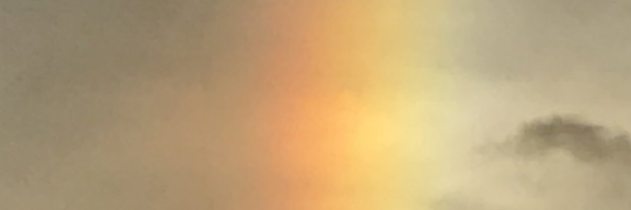 honeyteasky's profile banner image