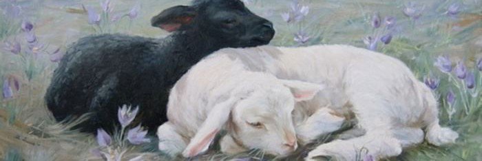 etherayell's profile banner image