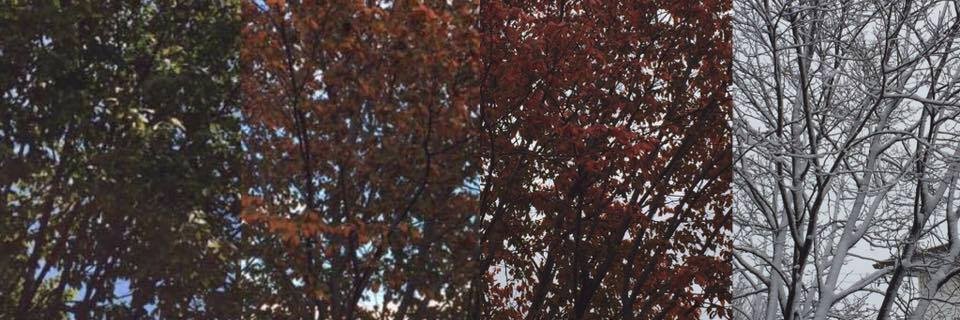 jenbudzek's profile banner image