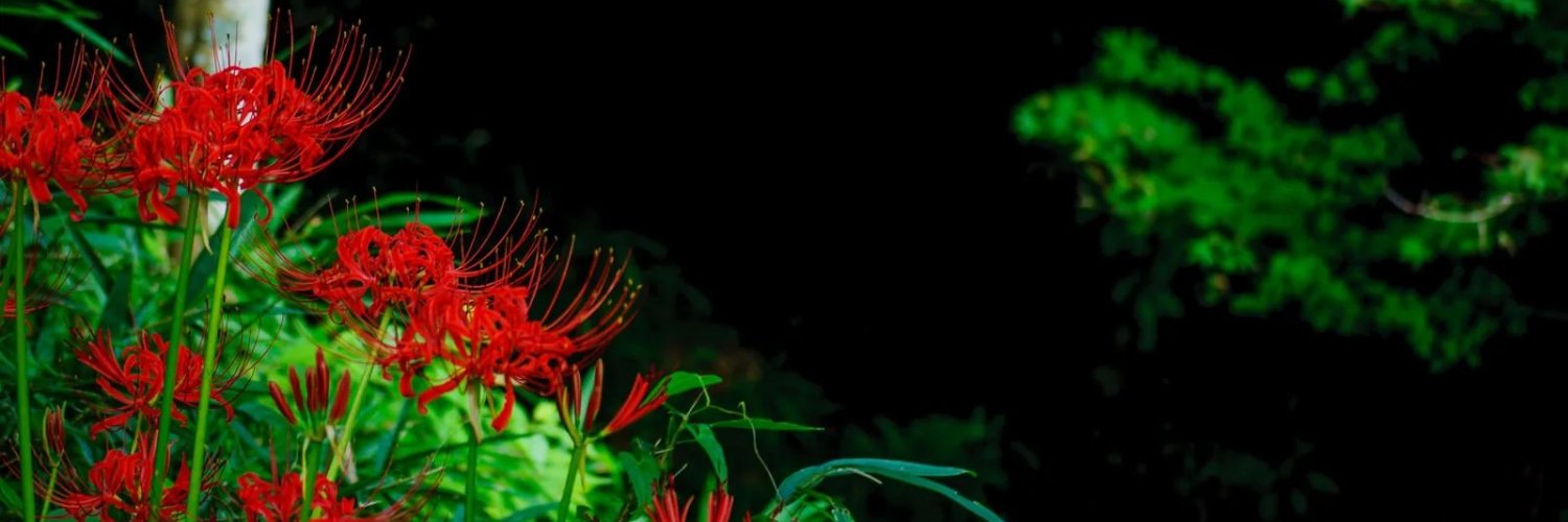 woi39's profile banner image