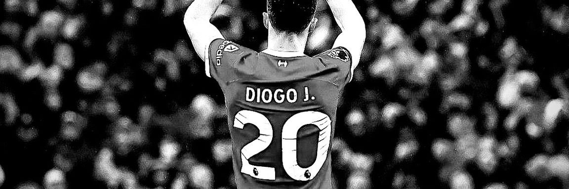 𝐸𝓁𝓁𝒾-𝐵 banner