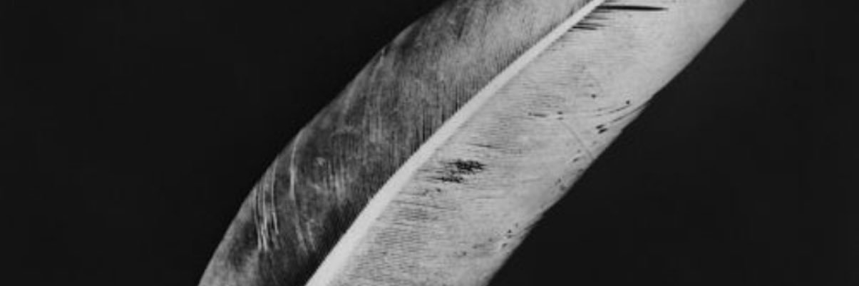 A_5ne's profile banner image