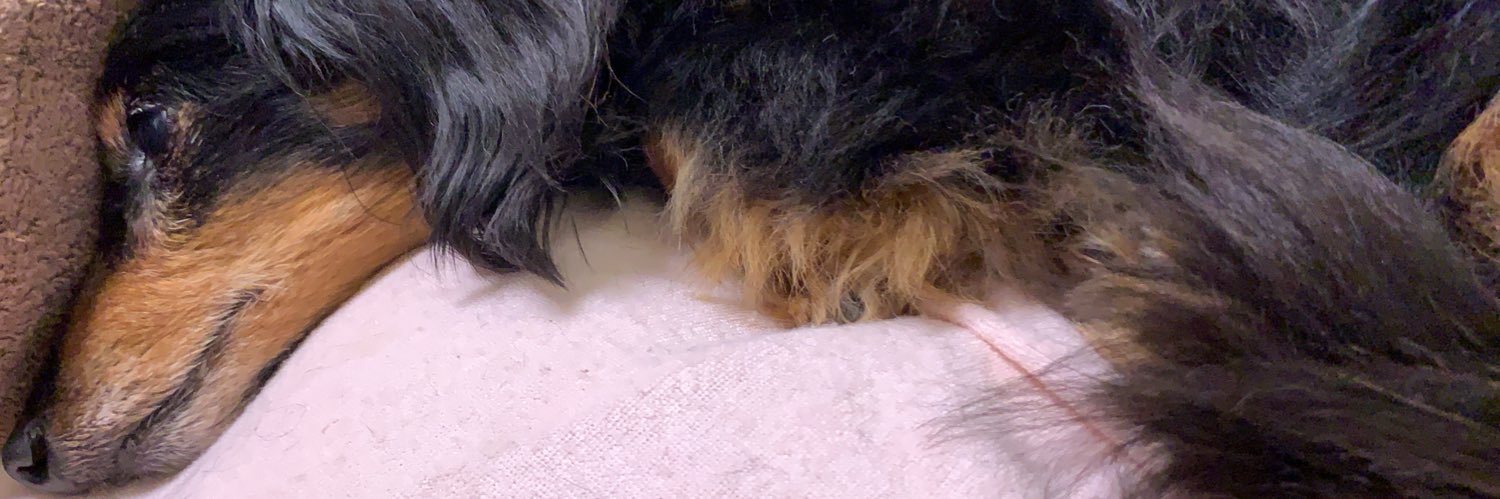 りょうくん banner