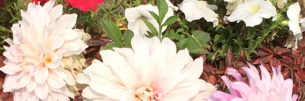 Vigilanceman Profile Banner