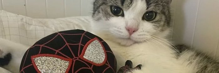 victmxx's profile banner image