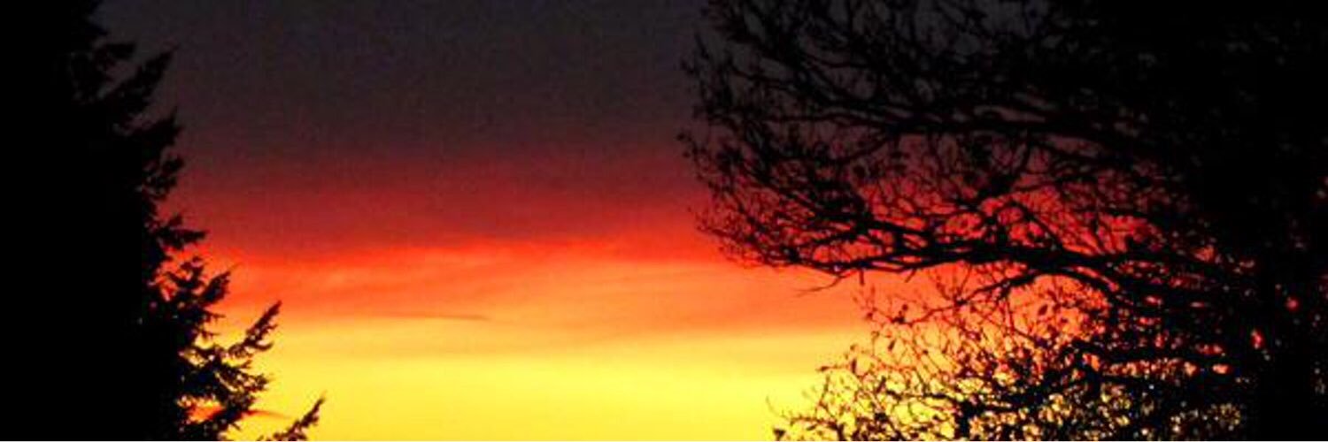 Proverdie's profile banner image
