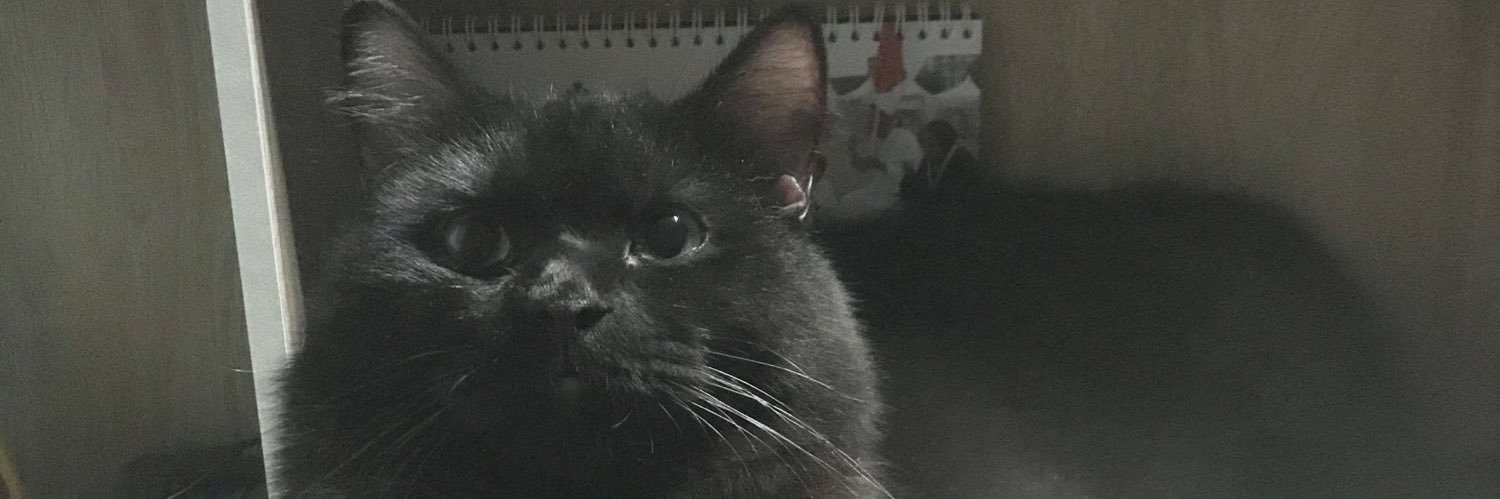 mspeachhhhh's profile banner image