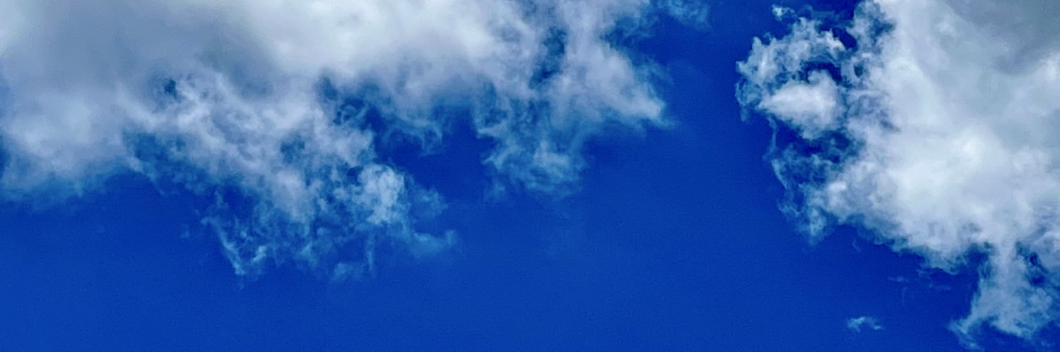 petterpaccola's profile banner image