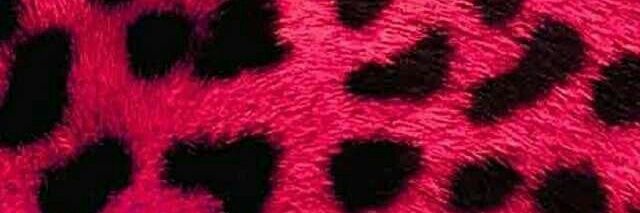 bo_petrovic's profile banner image