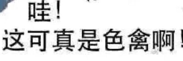 無鸣胶易所 banner