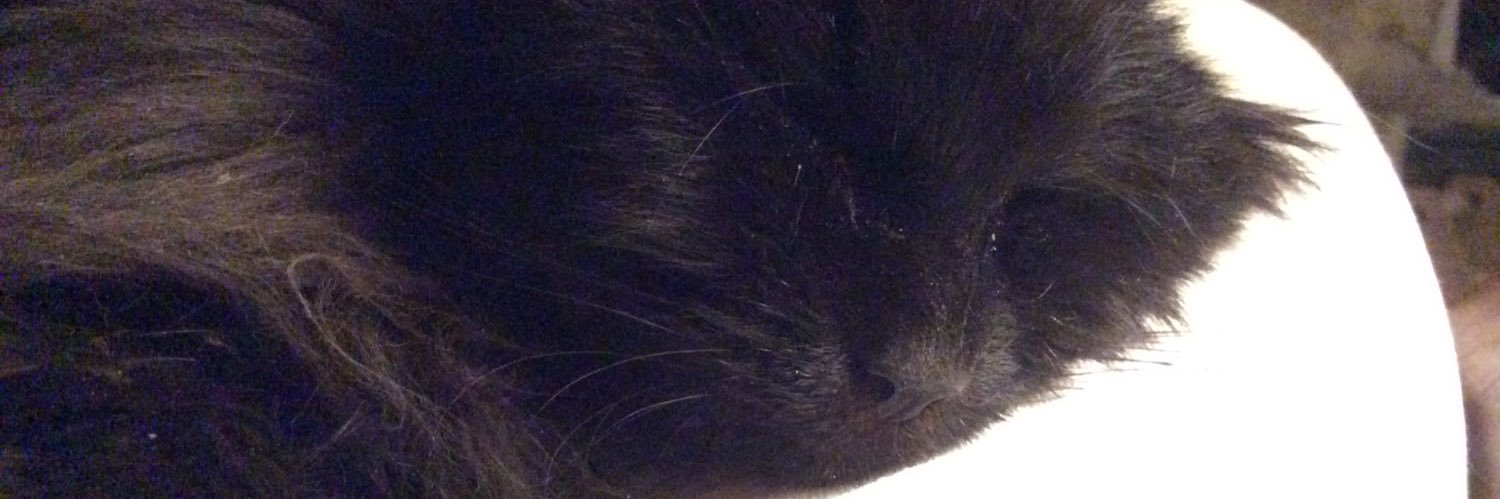 steved banner